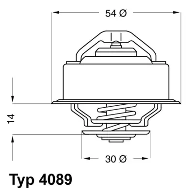 Termostat, płyn chłodzący BORGWARNER BERU 4089.71D Zamów teraz