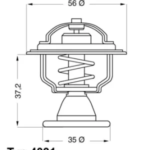 Termostat, płyn chłodzący BORGWARNER BERU 4091.82D Wybór klientów