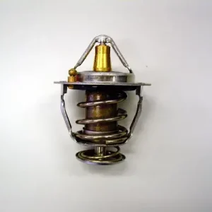 Wybór klientów Termostat, płyn chłodzący BORGWARNER BERU 410176.82D0
