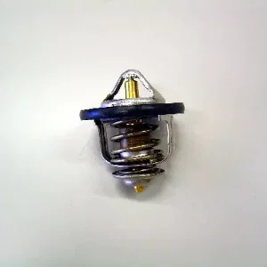Termostat, płyn chłodzący BORGWARNER BERU 410179.84D Niska cena